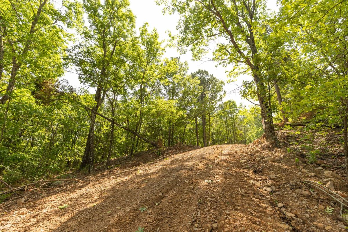 Decorative background for Stone Bridge Reserve Tract 35 image 14