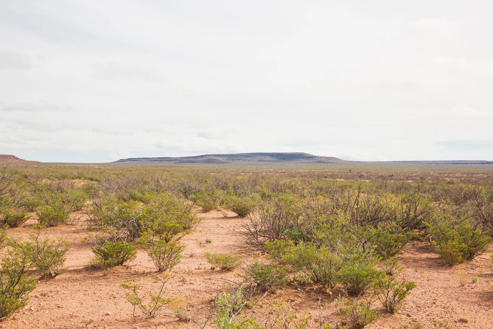 Sunset Ranches Tract 9 in Hudspeth County, TX