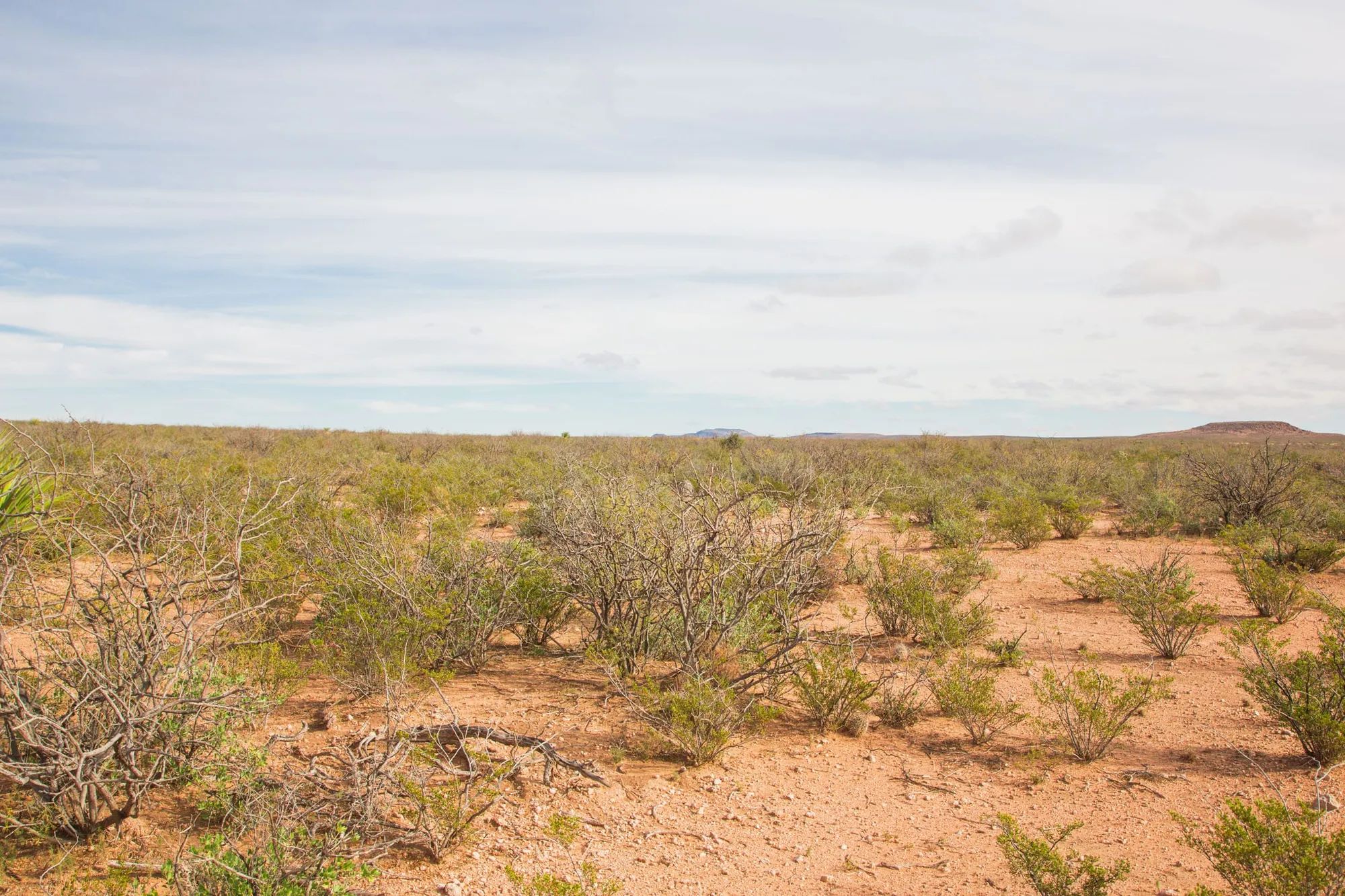 Sunset Ranches Tract 9 in Hudspeth County, TX