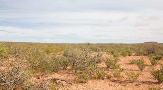 Sunset Ranches Tract 9 in Hudspeth County, TX