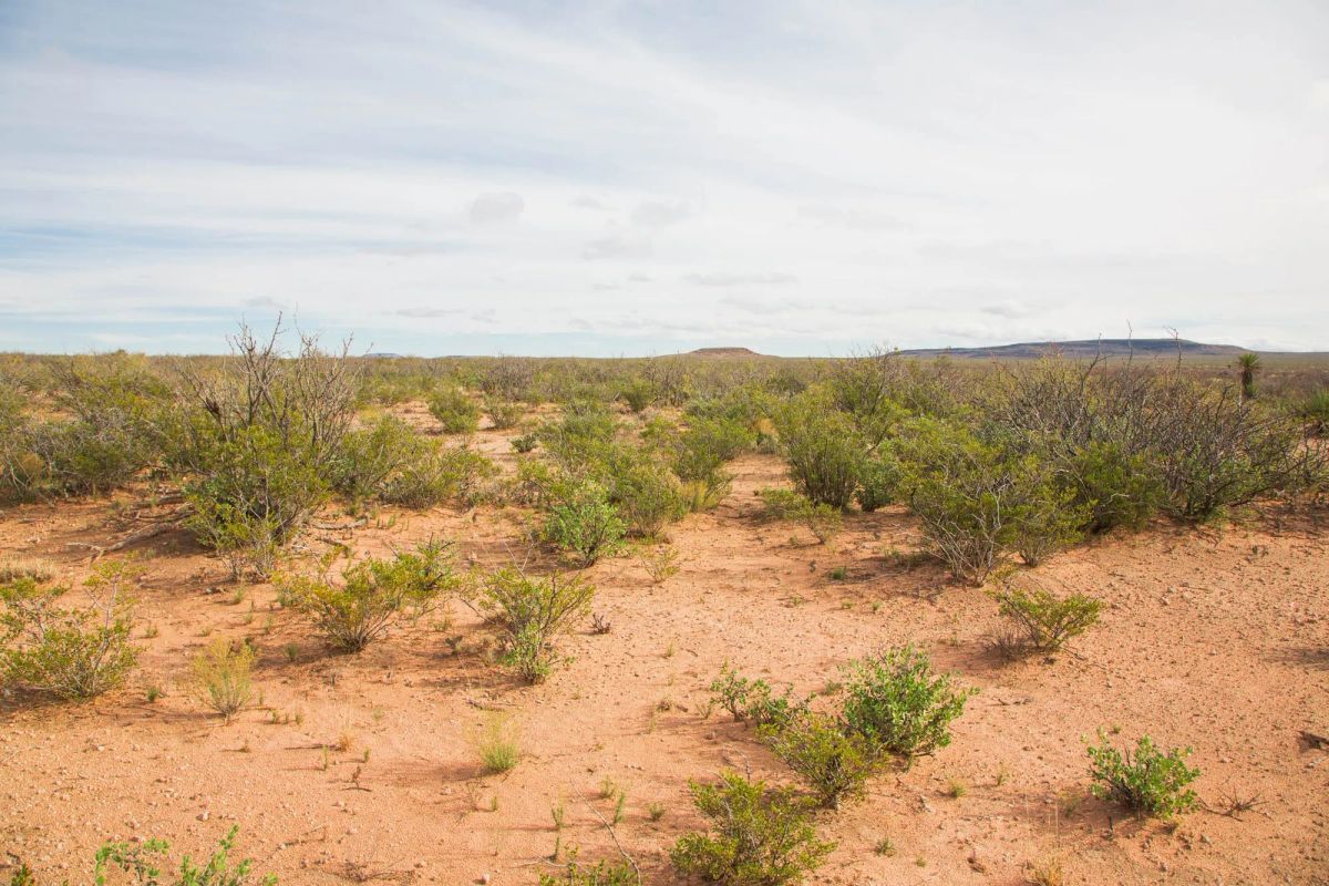 Decorative background for Sunset Ranches Tract 9 image 6