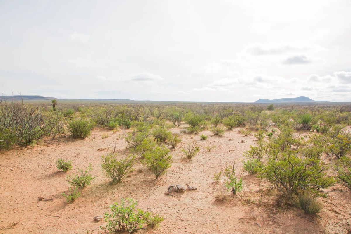 Decorative background for Sunset Ranches Tract 9 image 7