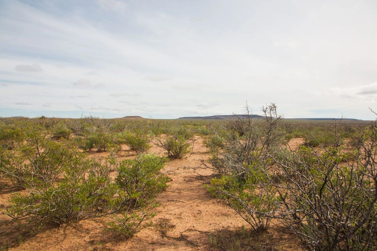 Decorative background for Sunset Ranches Tract 9 image 9