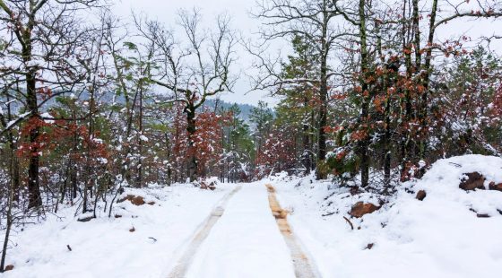 Stone Bridge Phase IV Tract 231 in Haskell County, OK