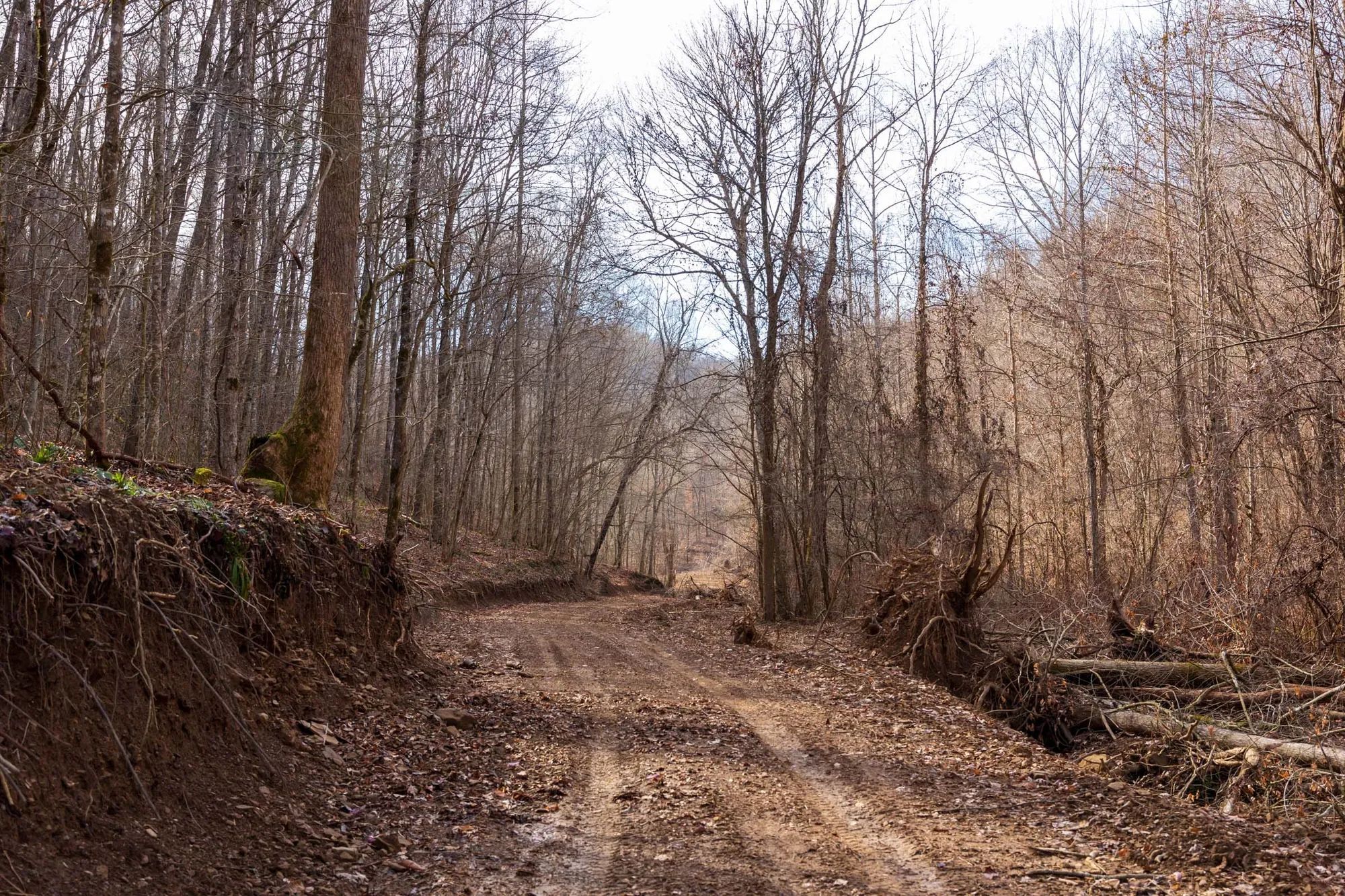 Blackstone Mountain Phase II Tract 59 in Clay County, KY