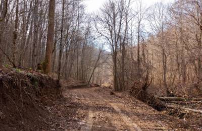 Blackstone Mountain Phase II Tract 59