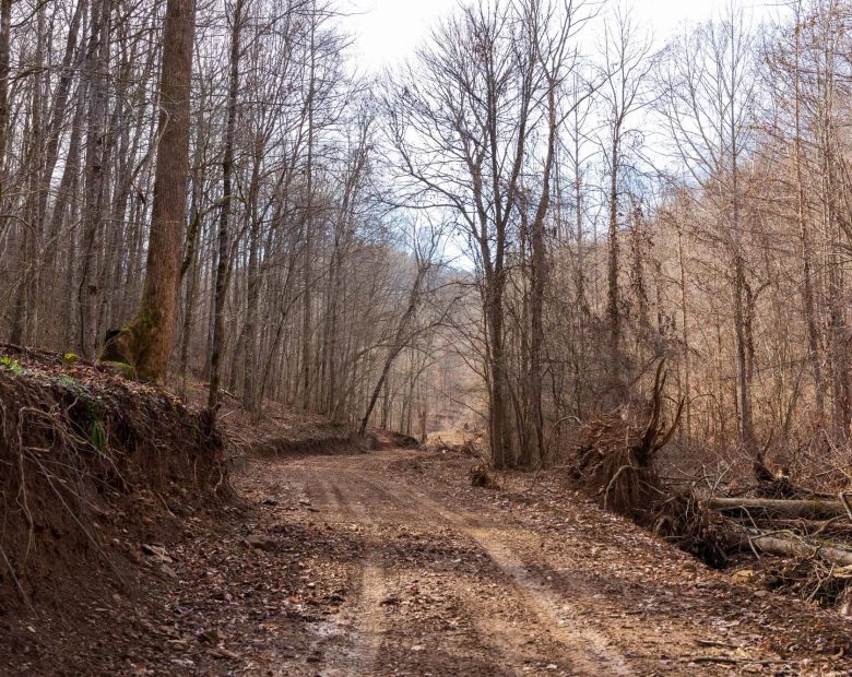 Blackstone Mountain Phase II Tract 59 in Clay County, KY