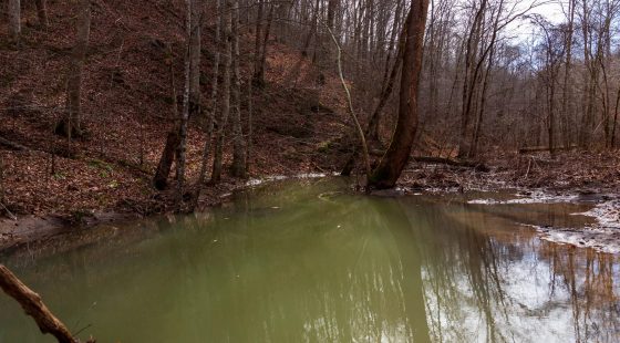Blackstone Mountain Phase II Tract 59 in Clay County, KY