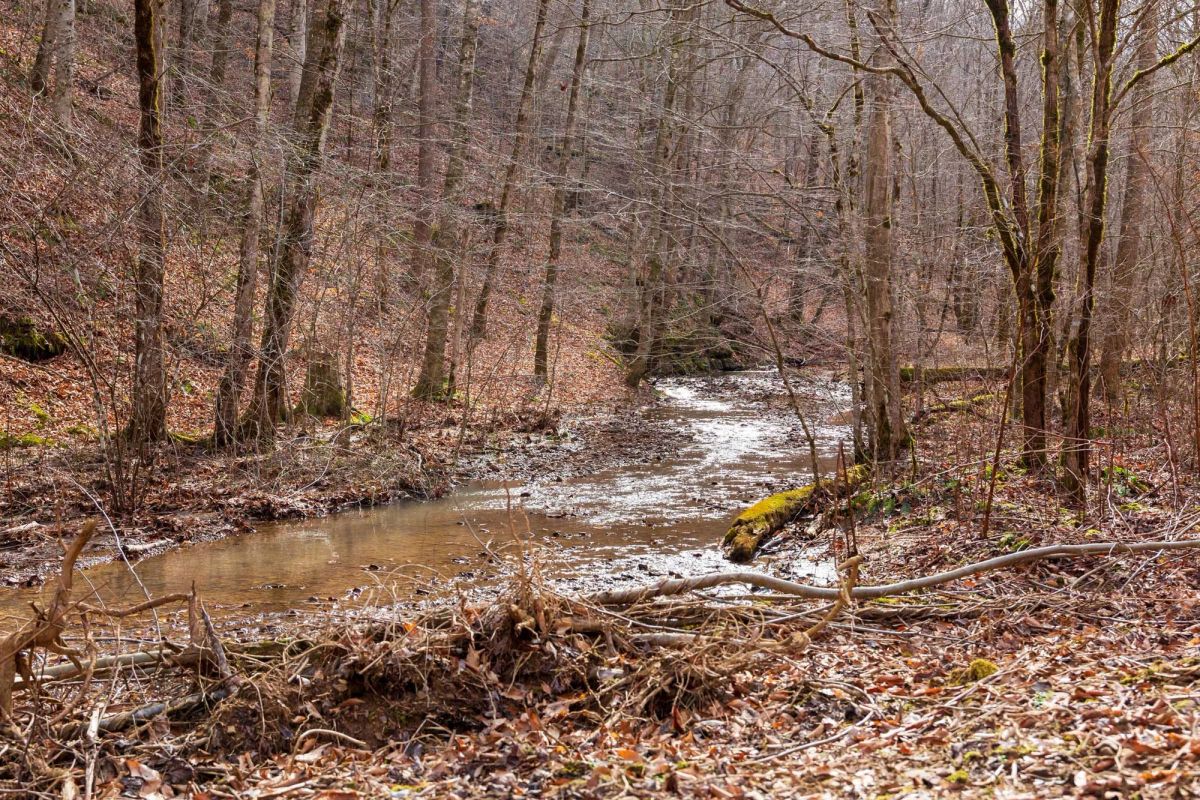 Blackstone Mountain Phase II Tract 59 - Image 3