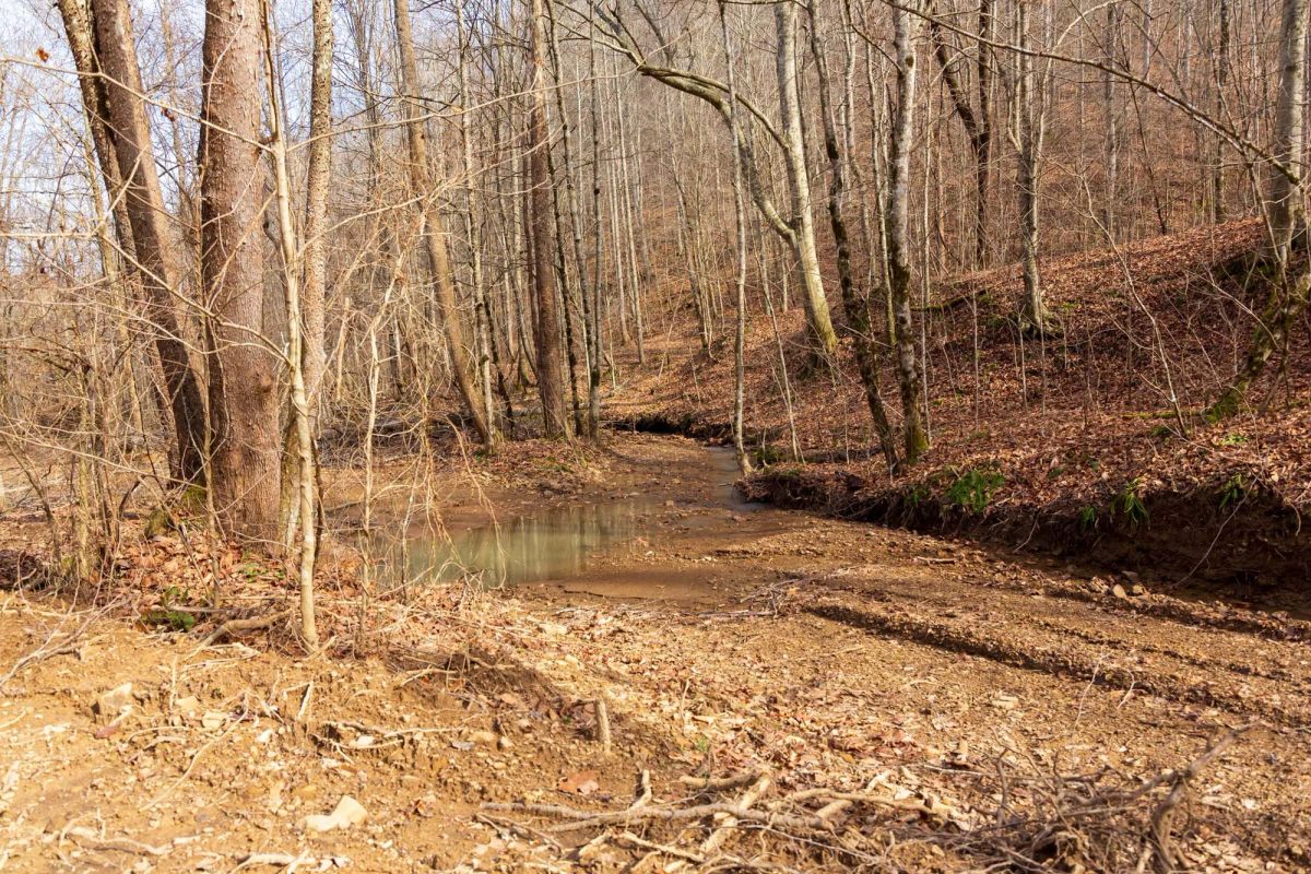 Decorative background for Blackstone Mountain Phase II Tract 59 image 10