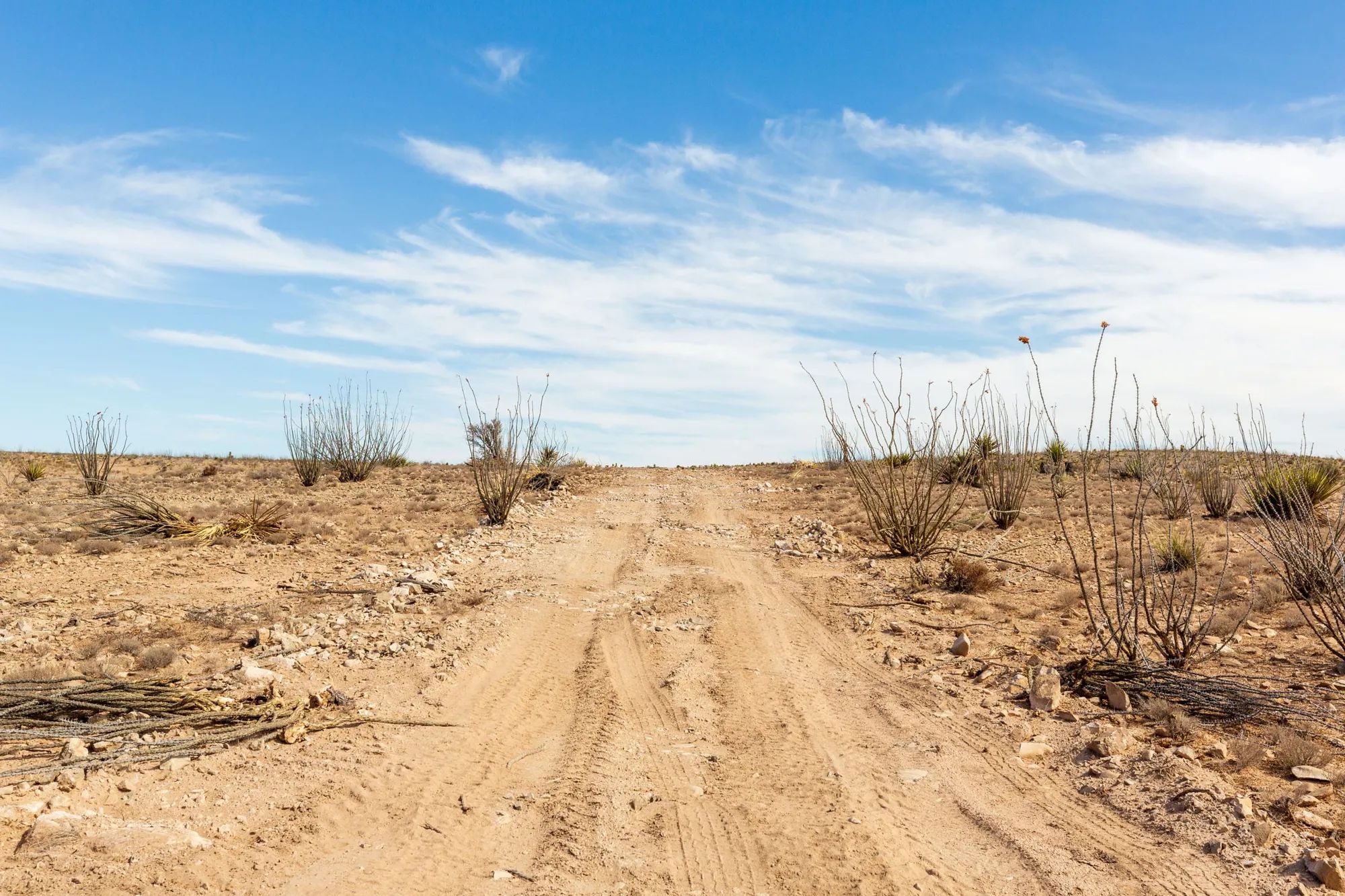 Sunrise Ranches Phase III Tract 117 in Hudspeth County, TX