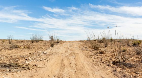 Sunrise Ranches Phase III Tract 117 in Hudspeth County, TX