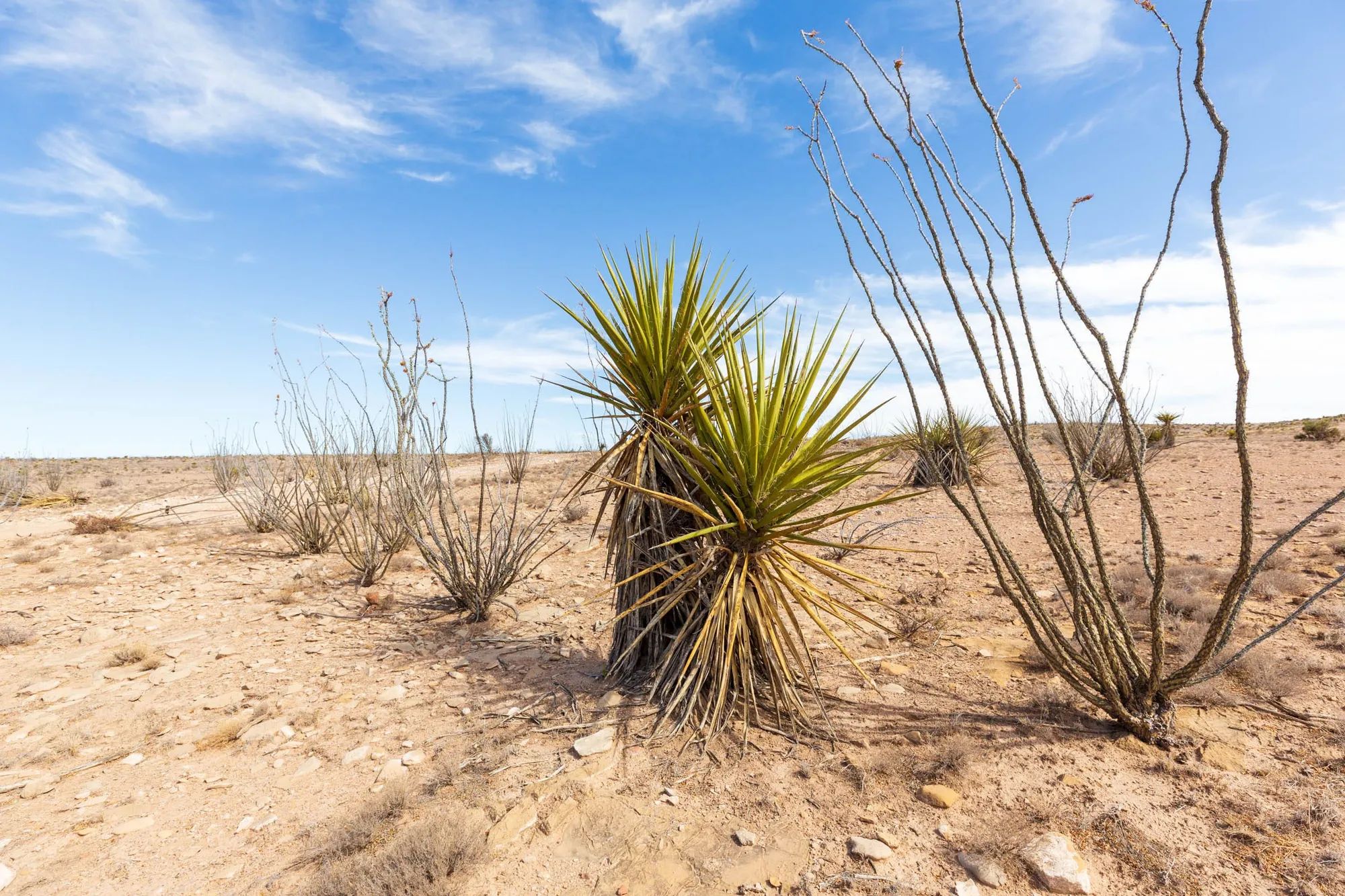Sunrise Ranches Phase III Tract 117 in Hudspeth County, TX