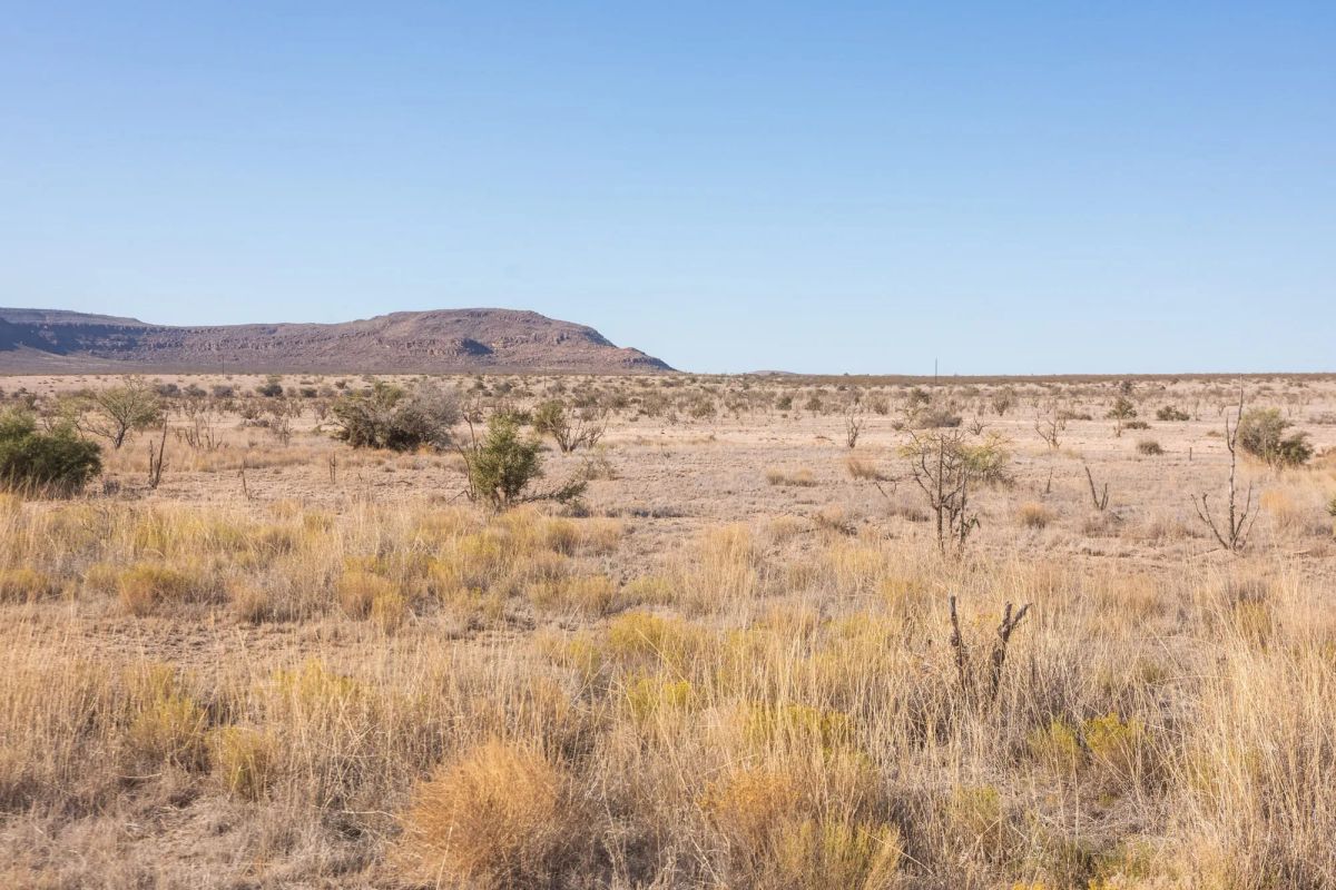 Decorative background for Sunrise Ranches Phase III Tract 117 image 5