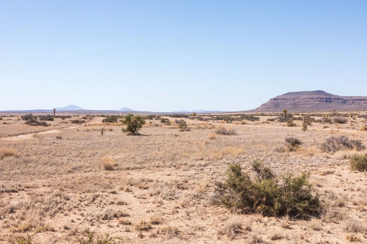 Decorative background for Sunrise Ranches Phase III Tract 117 image 8