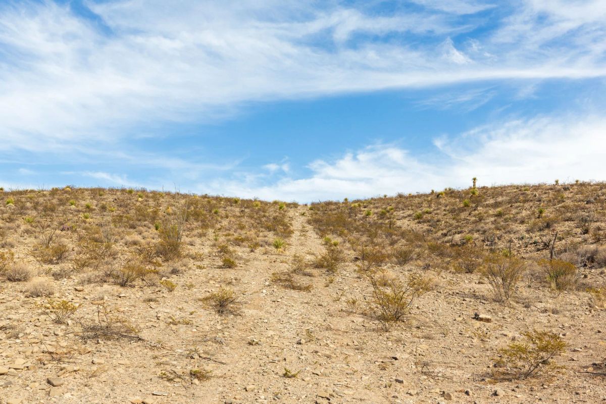 Decorative background for Sunrise Ranches Phase III Tract 117 image 11