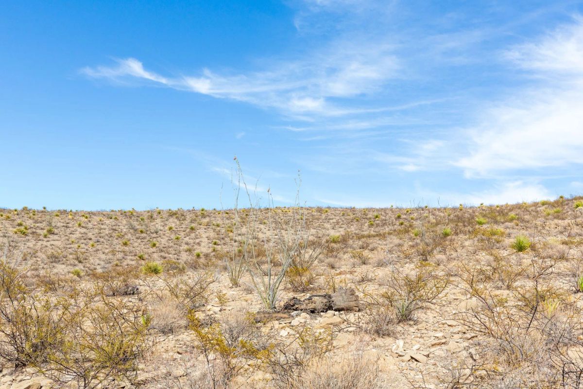Decorative background for Sunrise Ranches Phase III Tract 117 image 12