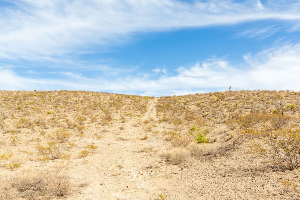 Decorative background for Sunrise Ranches Phase III Tract 117 image 14