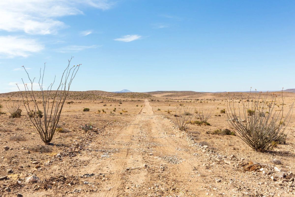 Decorative background for Sunrise Ranches Phase III Tract 117 image 15