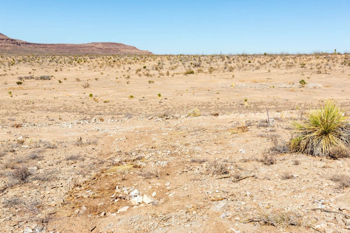 Decorative background for Sunrise Ranches Phase III Tract 117 image 17