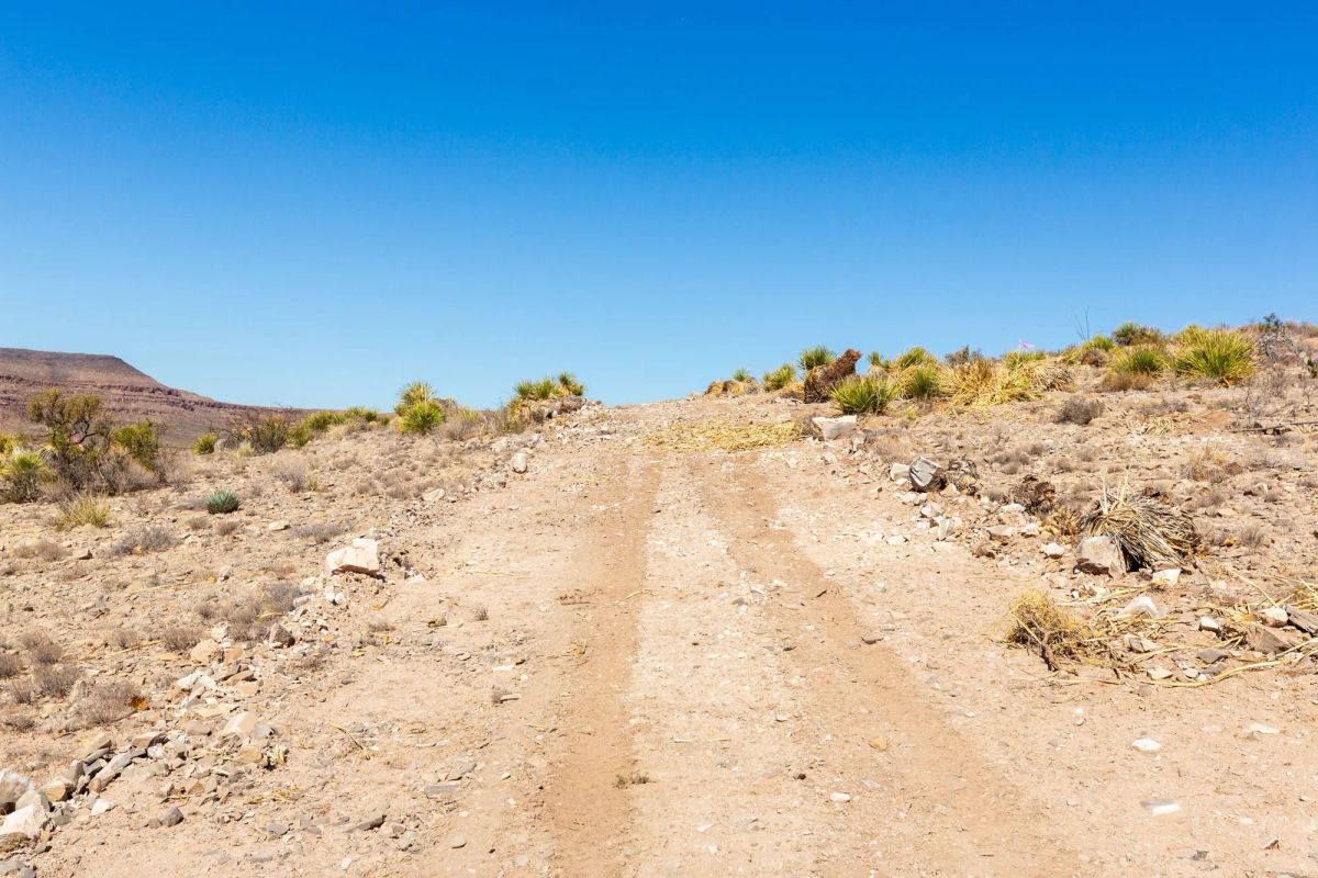 Decorative background for Sunrise Ranches Phase III Tract 117 image 18