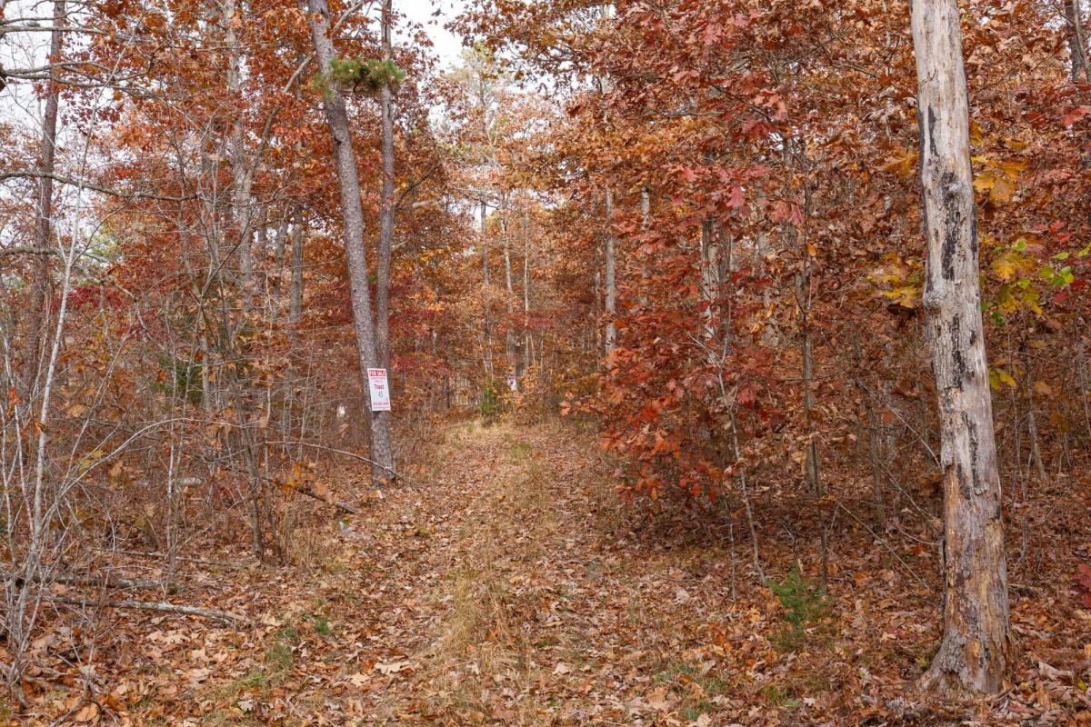 Hawkcrest Tract 46 - Main image