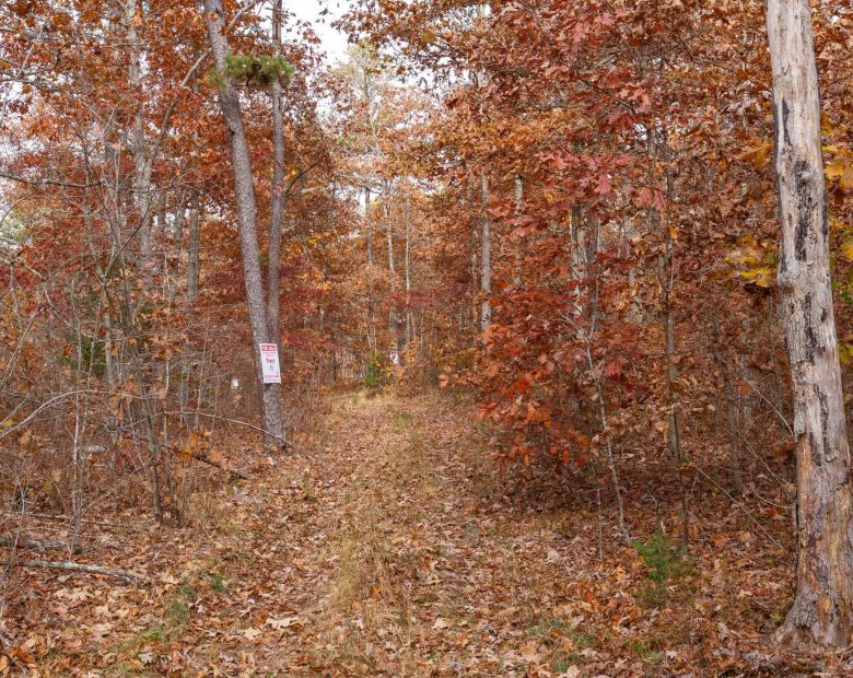 Hawkcrest Tract 46 in Reynolds County, MO