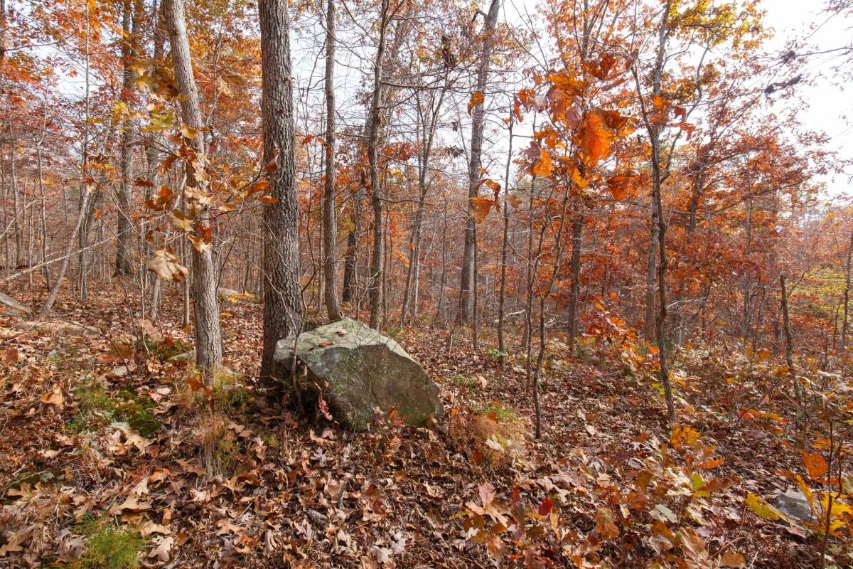 Hawkcrest Tract 46 - Image 3
