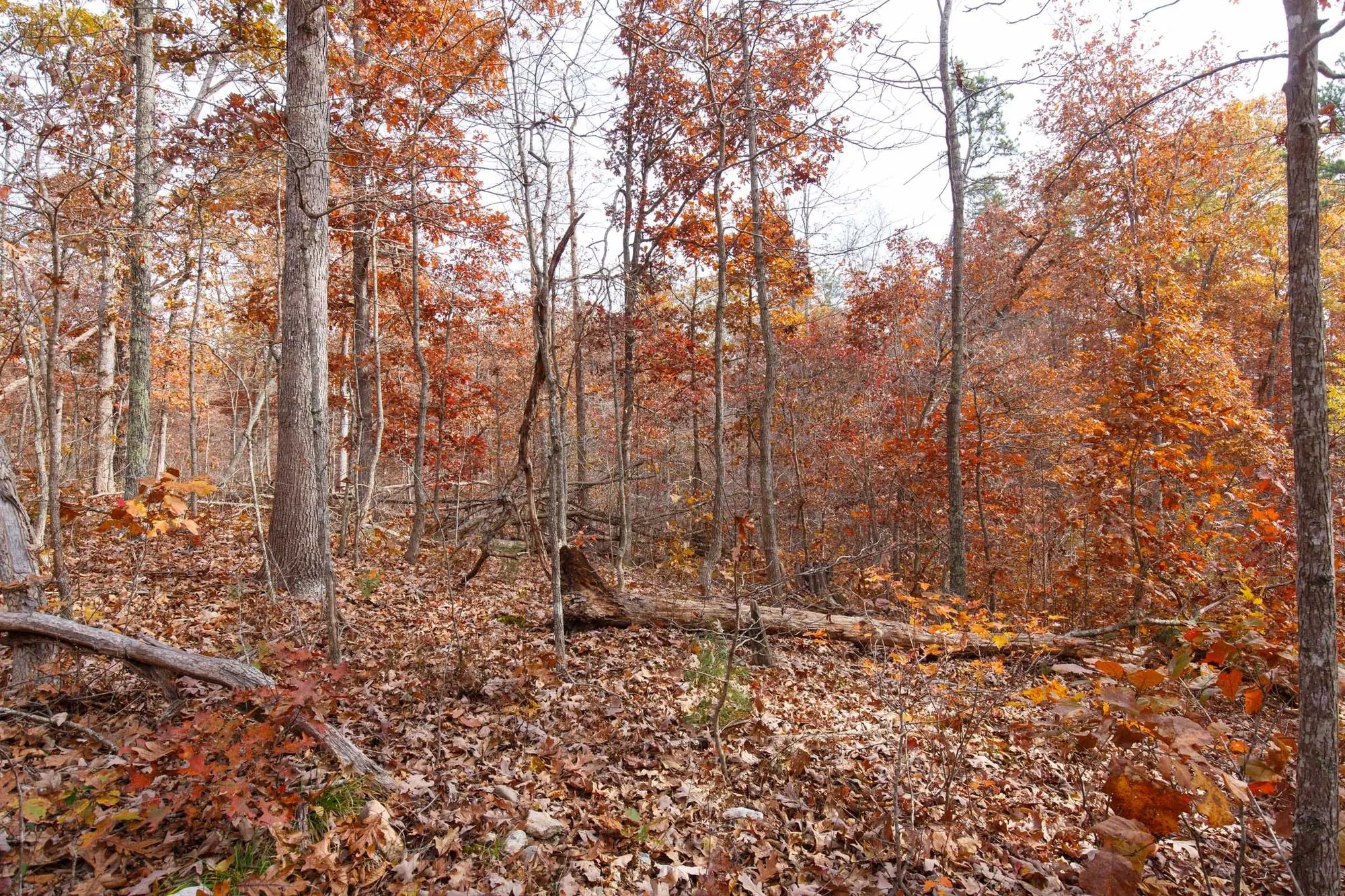 Hawkcrest Tract 46 in Reynolds County, MO