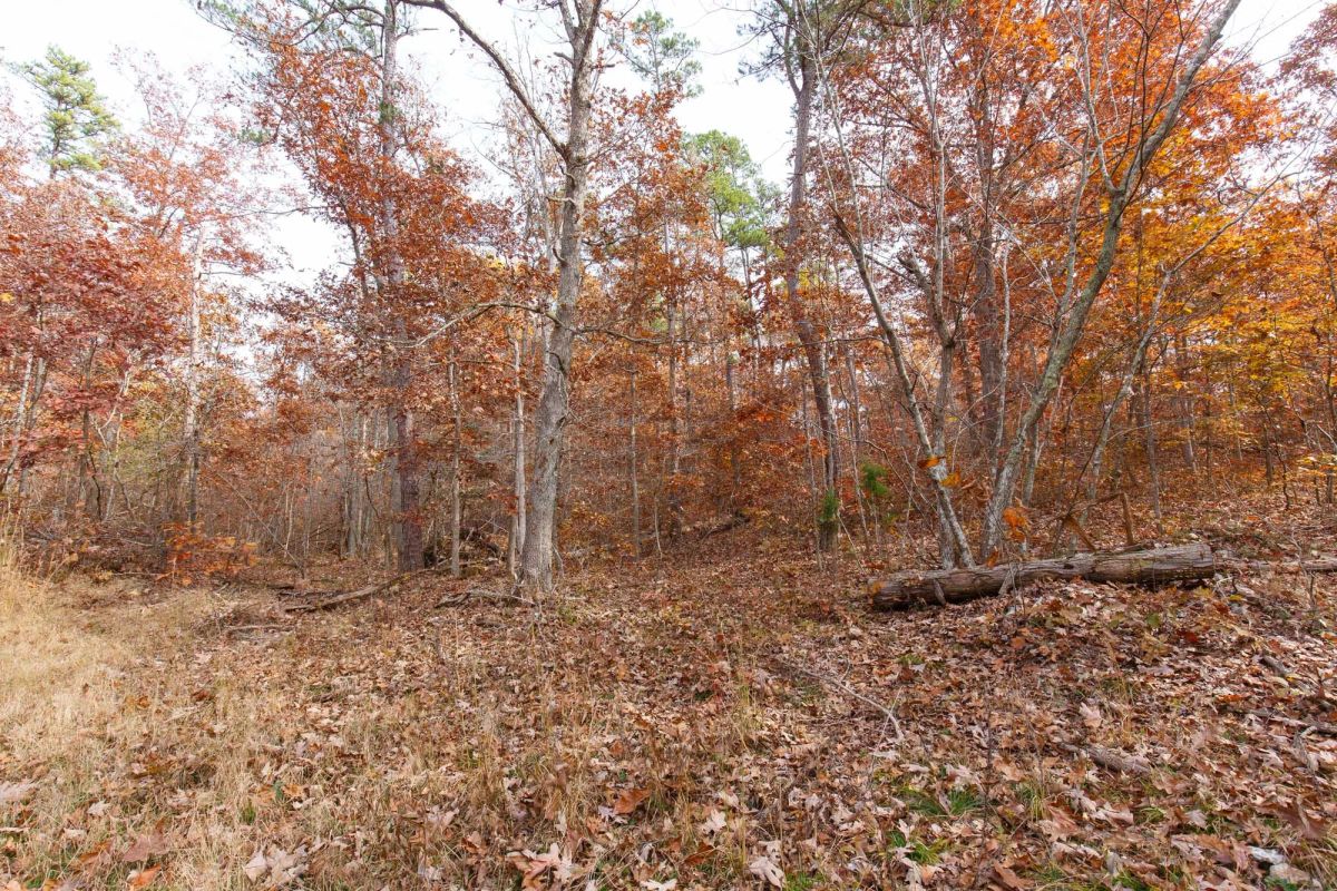 Decorative background for Hawkcrest Tract 46 image 6