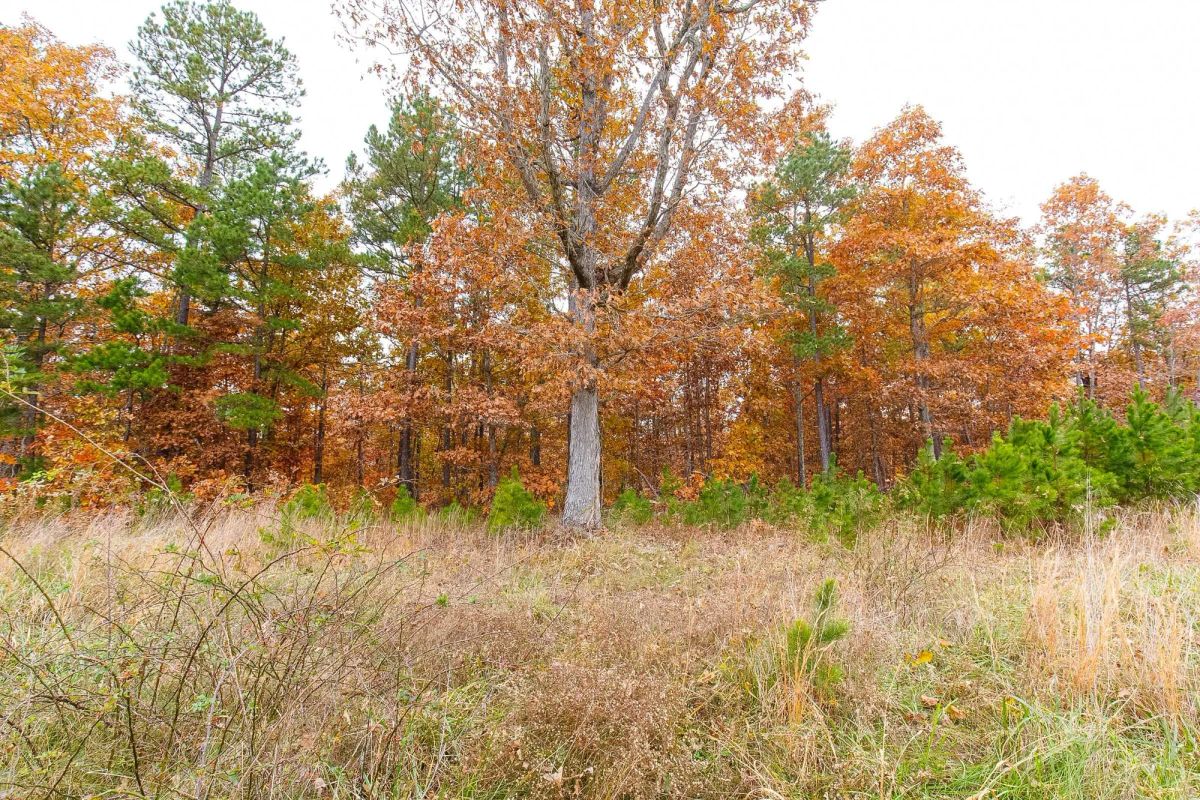 Hawkcrest Tract 16 - Image 2