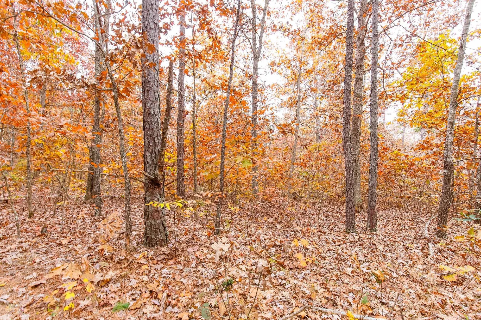 Hawkcrest Tract 16 in Reynolds County, MO