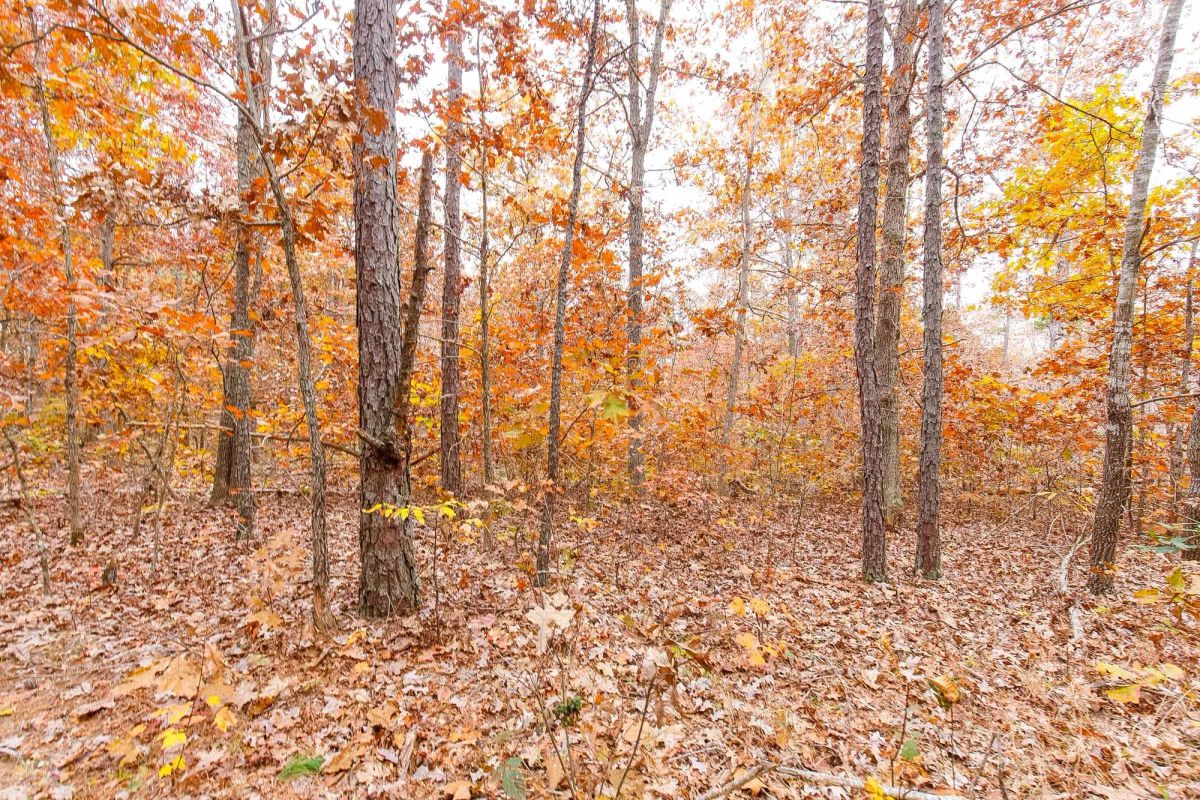 Hawkcrest Tract 16 - Image 4
