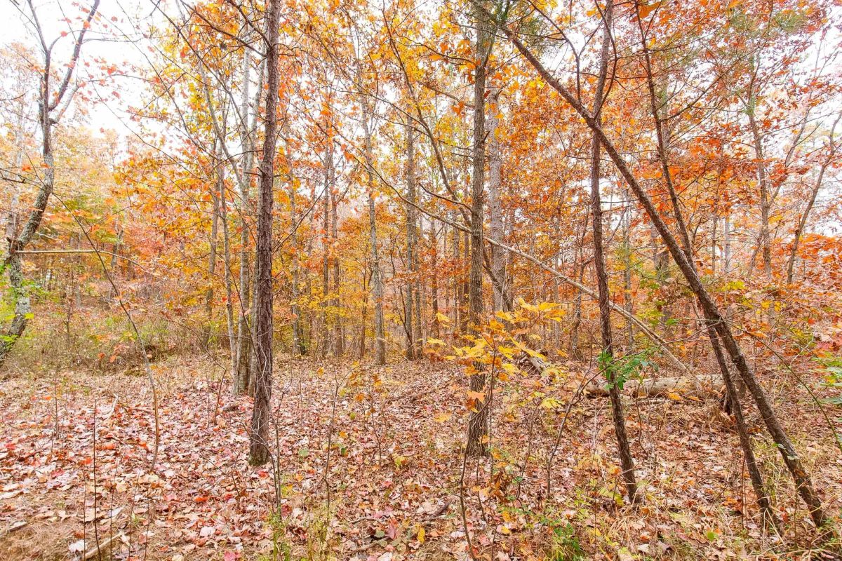Decorative background for Hawkcrest Tract 16 image 6