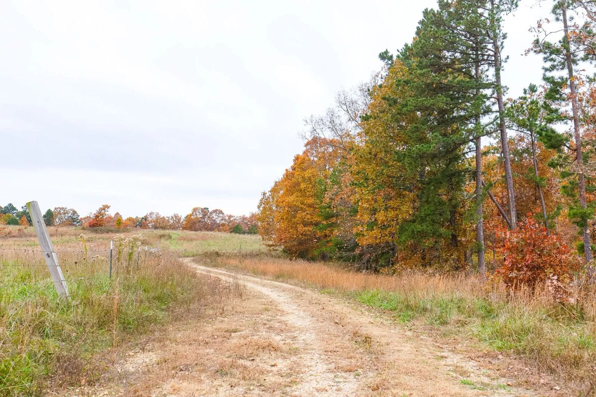 Decorative background for Hawkcrest Tract 16 image 7