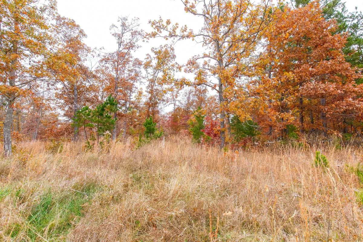 Decorative background for Hawkcrest Tract 16 image 8