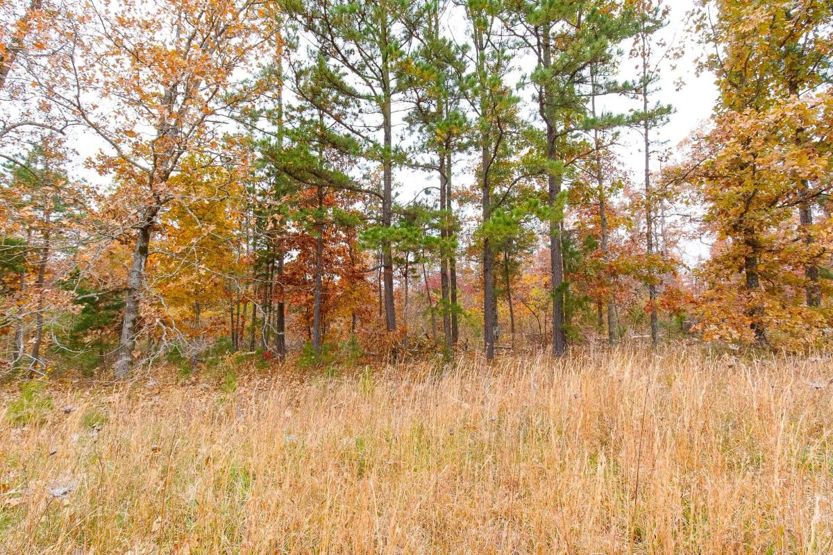 Decorative background for Hawkcrest Tract 16 image 9