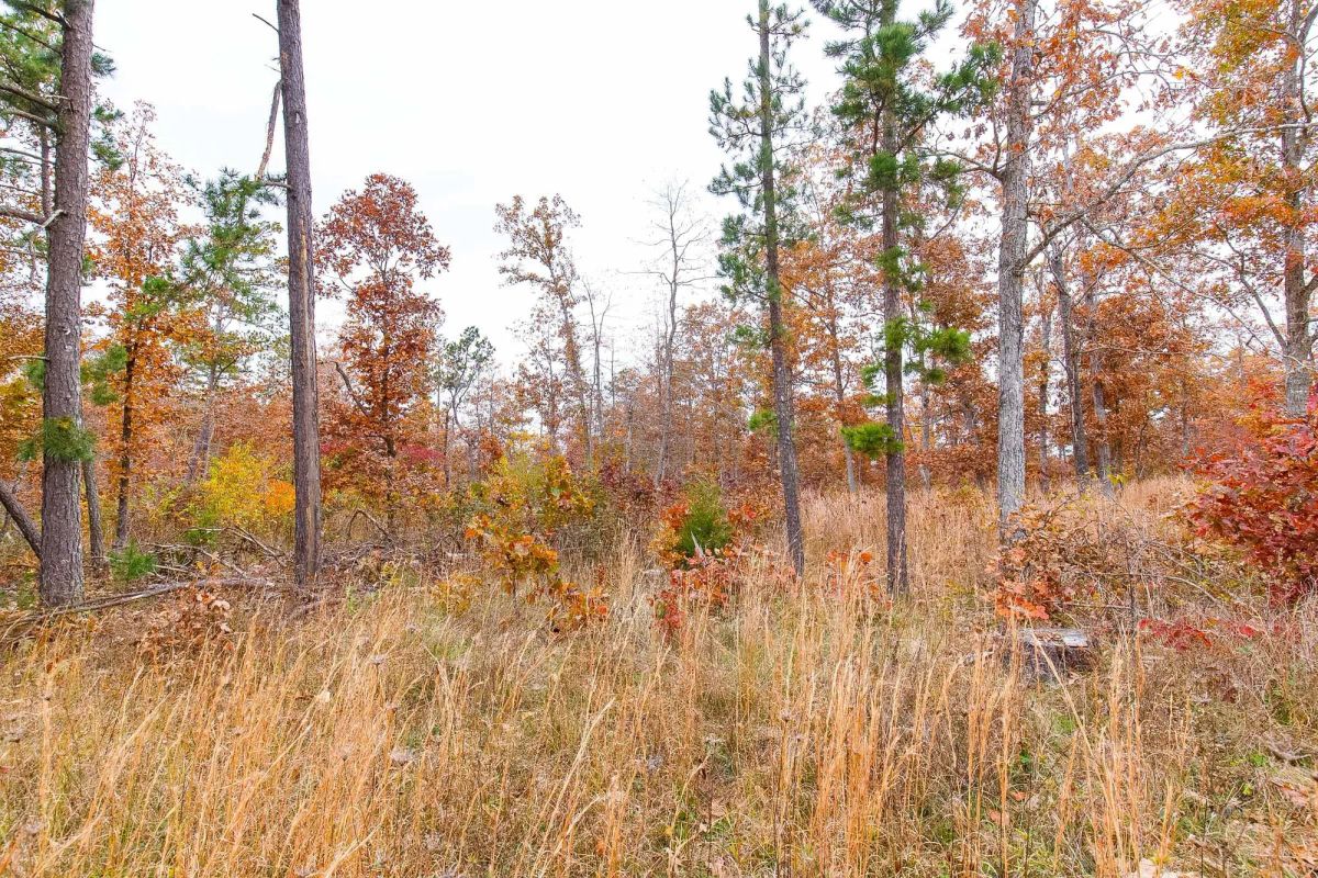 Decorative background for Hawkcrest Tract 16 image 11