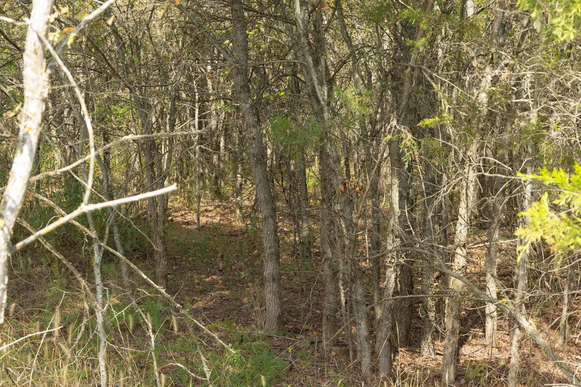 Reserves At Cattail Cove Phase II Tract 67 in Pittsburg County, OK