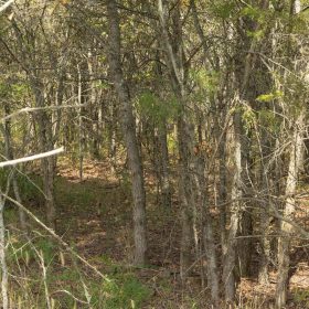 Reserves At Cattail Cove Phase II Tract 67 in Pittsburg County, OK
