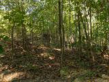 Big White Oak Tract 102