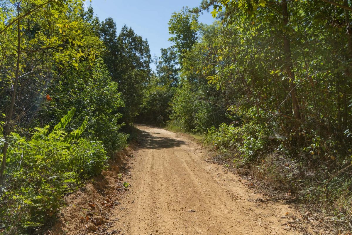 Big White Oak Tract 102 - Image 4