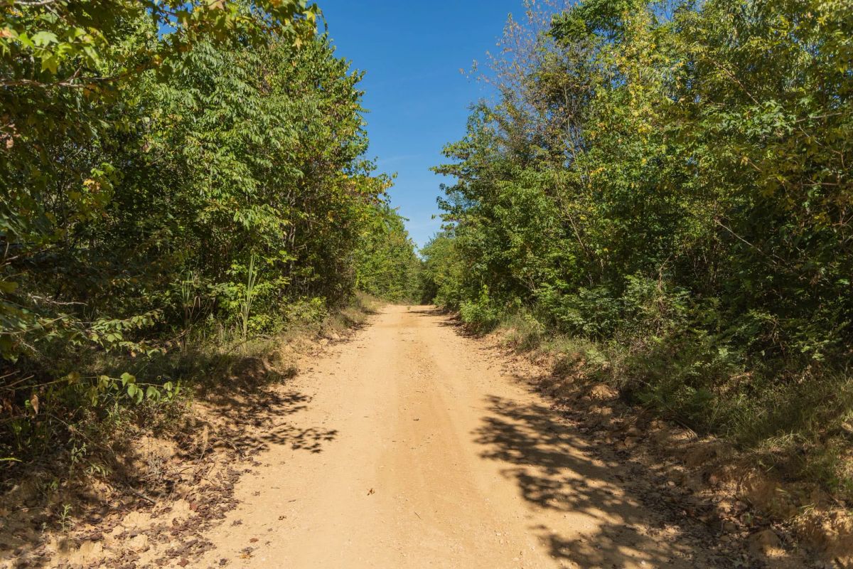 Decorative background for Big White Oak Tract 102 image 5