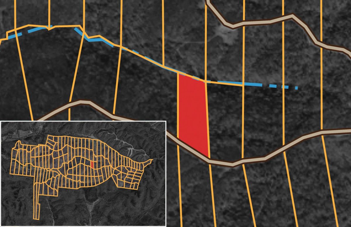 Decorative background for Big White Oak Tract 102 image 14
