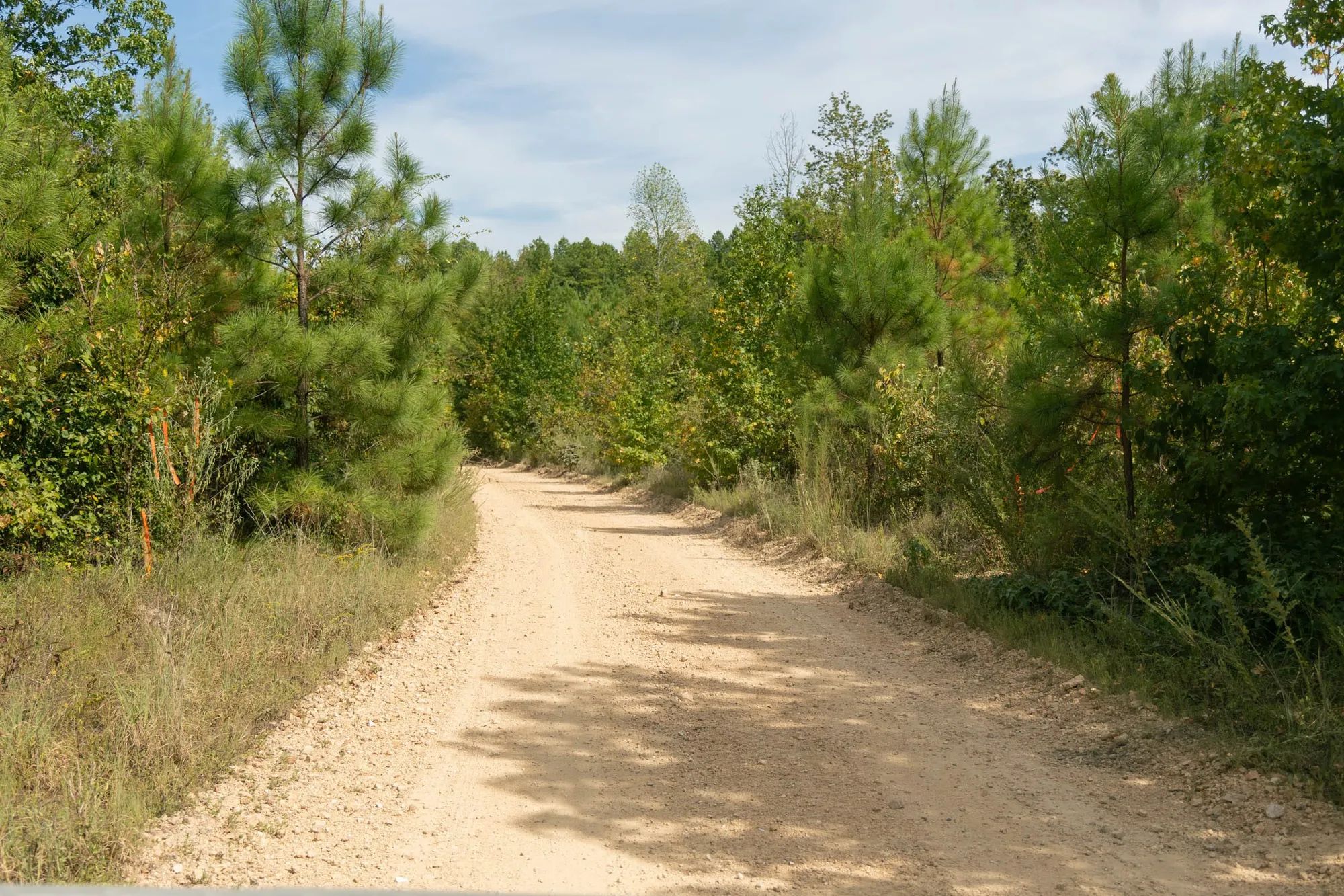 Big White Oak Tract 40 in Perry County, TN