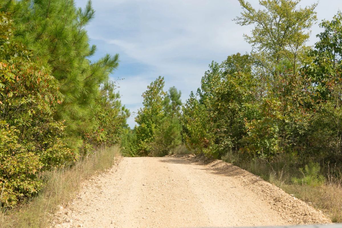 Decorative background for Big White Oak Tract 40 image 7