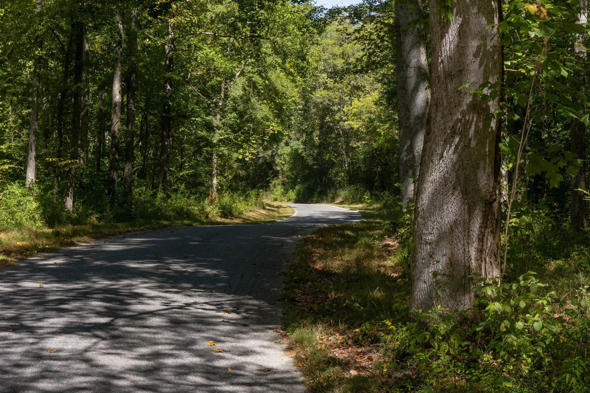 Big White Oak Tract 20 in Perry County, TN