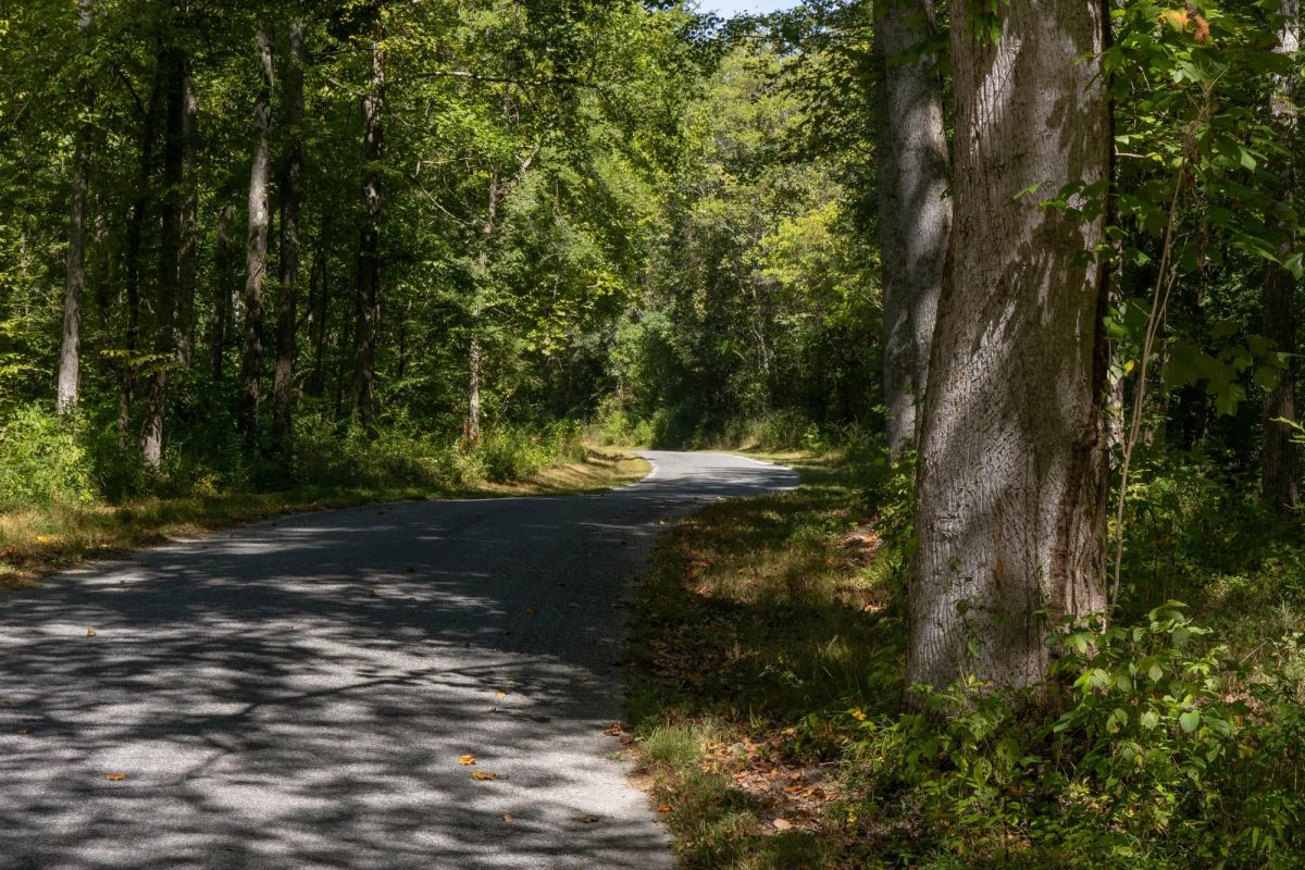 Big White Oak Tract 20 - Main image
