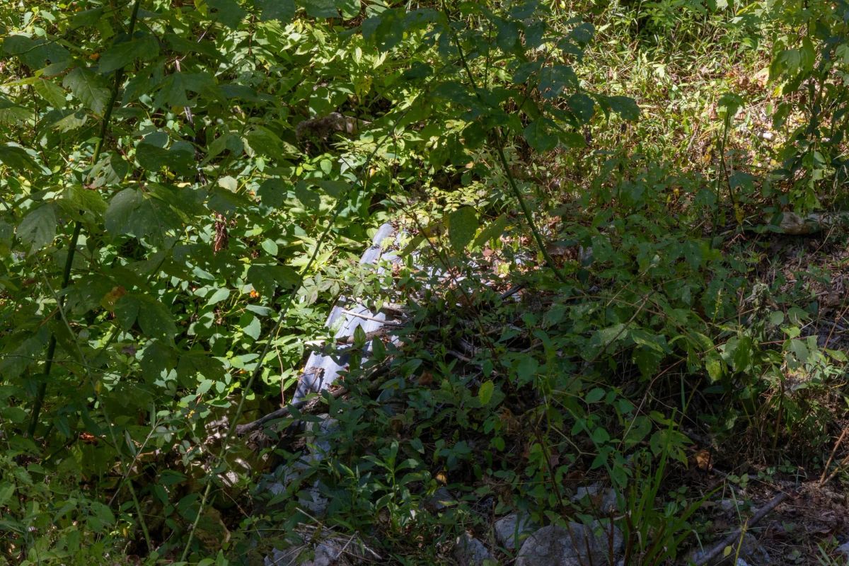 Big White Oak Tract 20 - Image 4