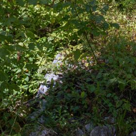 Big White Oak Tract 20 in Perry County, TN